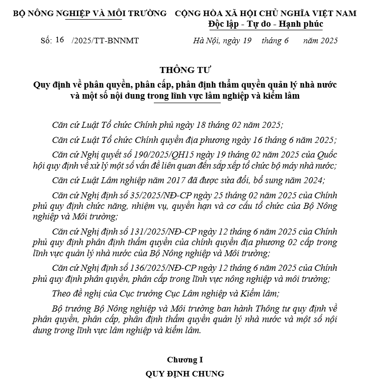 Thông tư 16/2025/TT-BNNMT ngày 19/6/2025 Quy định về phân quyền, phân cấp, phân định thẩm quyền quản lý nhà nước và một số nội dung trong lĩnh vực lâm nghiệp và kiểm lâm 
